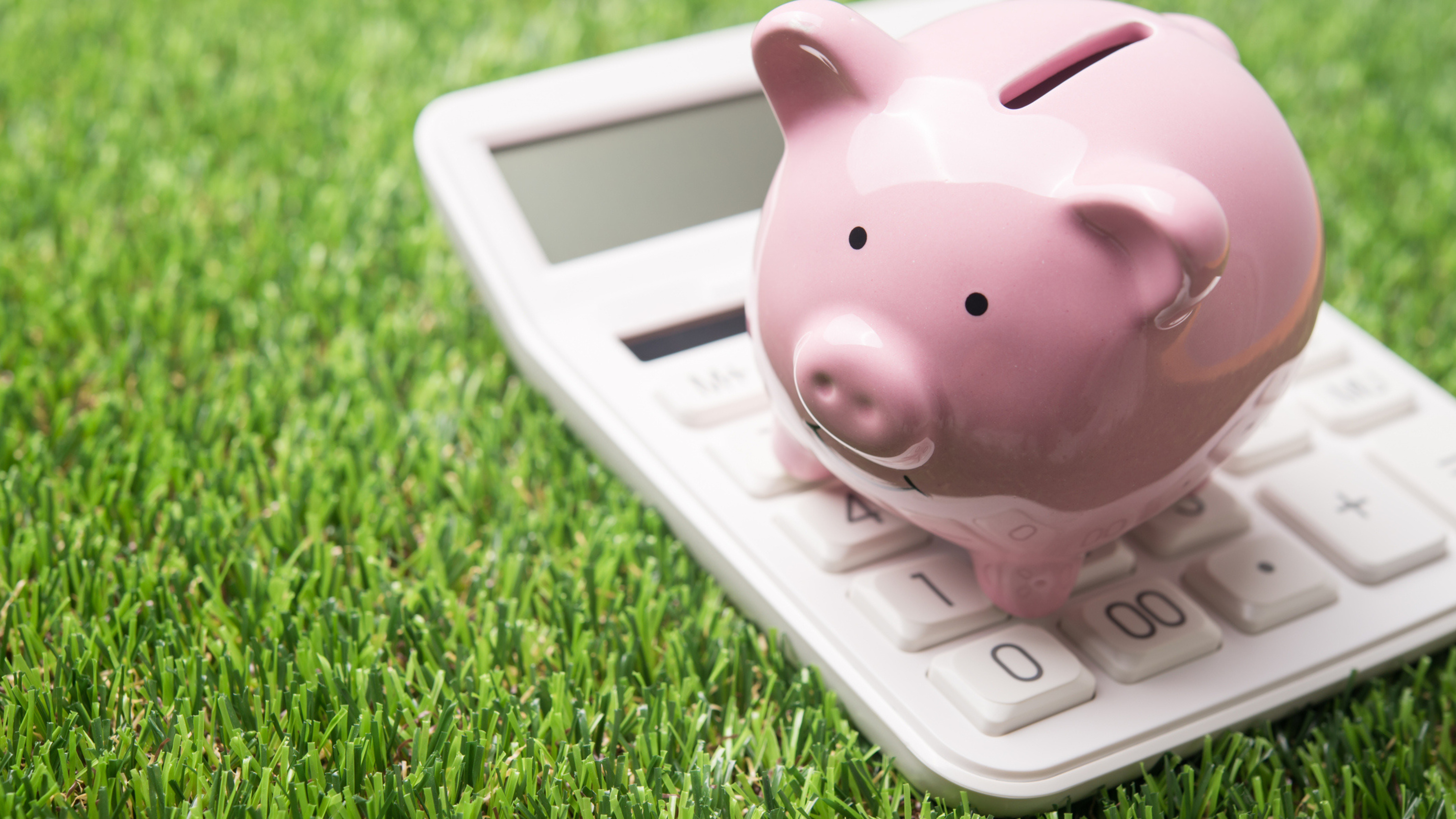 Piggy bank calculator