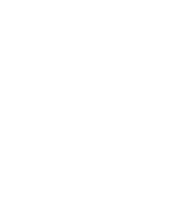 instagram-icon